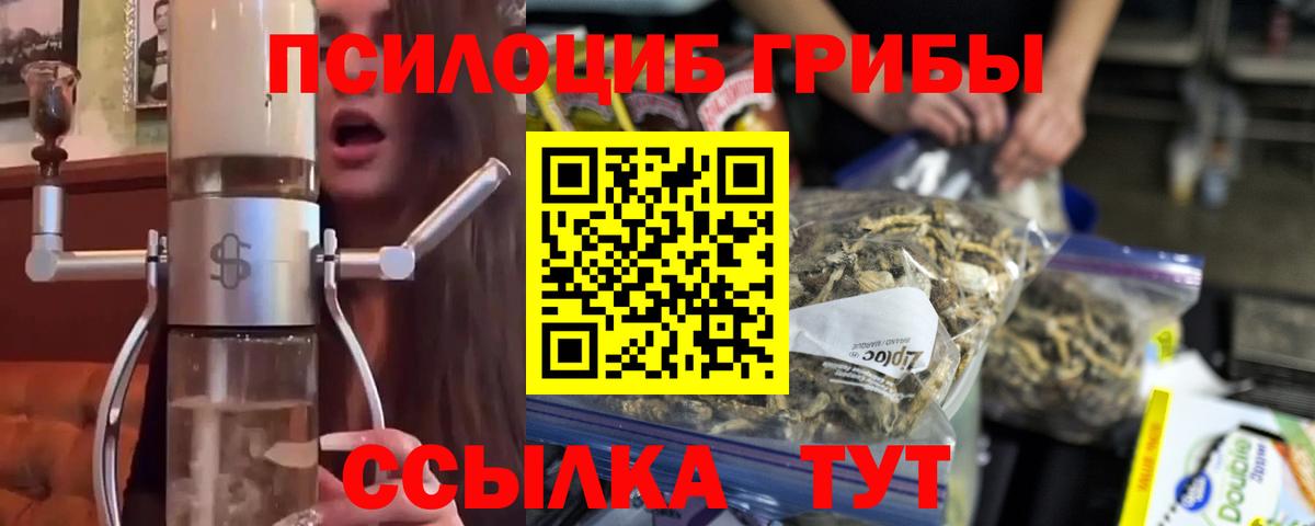 Великий Новгород  Псилоцибиновые грибы прущие грибы  что такое наркотик  Галлюциногенные грибы GOLDEN TEACHER  Вход с VPN 